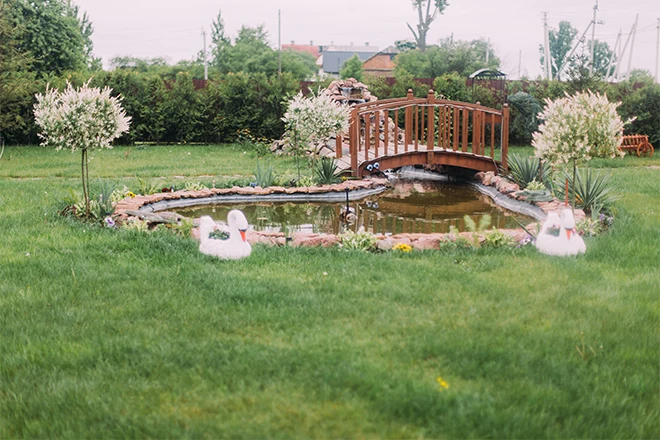 A completed backyard pond building cost project