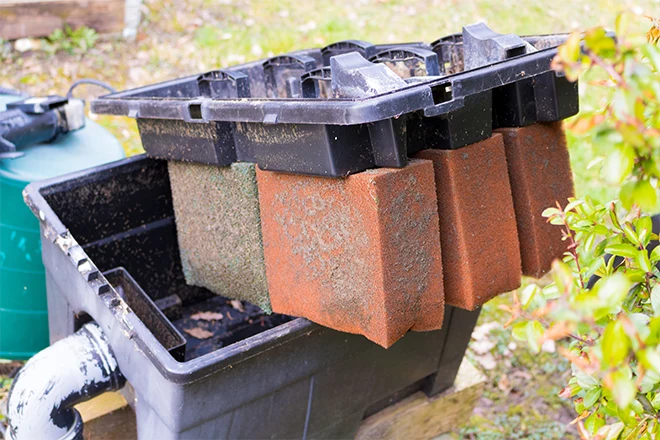 One type of pond filter