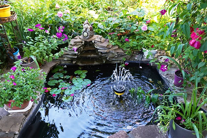 A decorative pond with fountain in the garden A decorative pond with fountain in the garden