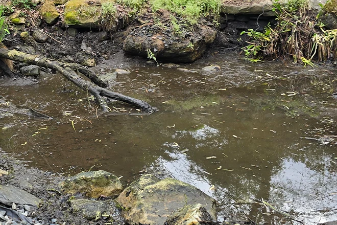 Water feature in need of koi pond algae control methods