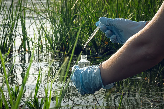 Finding the pH of pond water