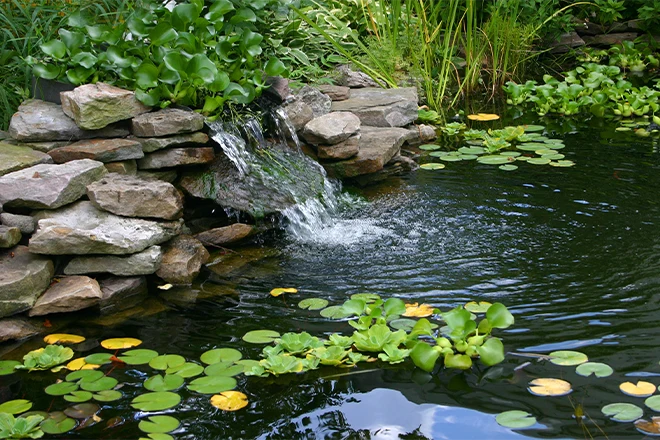 Pond waterfall