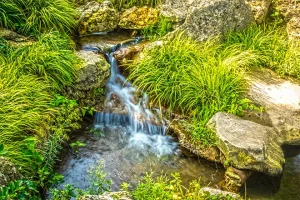 Backyard stream