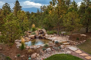 Backyard pond ideas brought to life