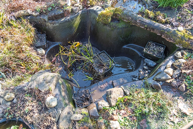What to do with an unused pond like this one