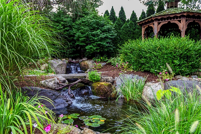 Backyard pond with gazebo and waterfall