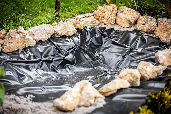Pond that may have some backyard pond mistakes in it
