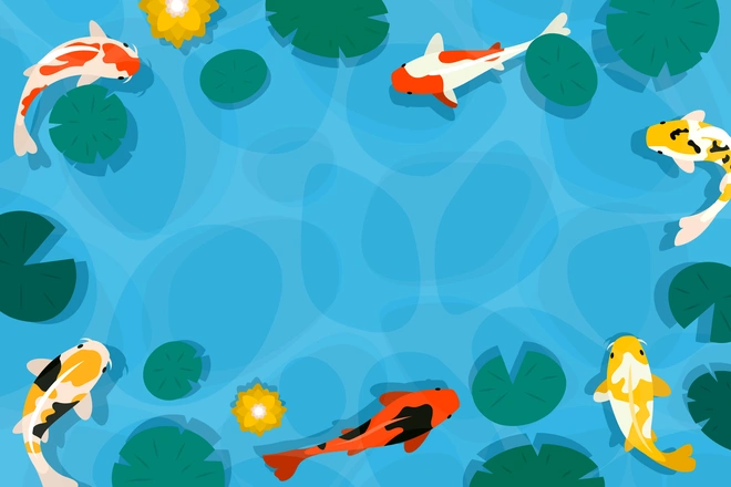 Animated koi fish in pond