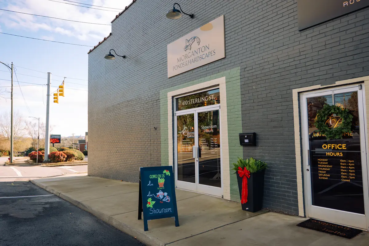 Showroom entrance exterior